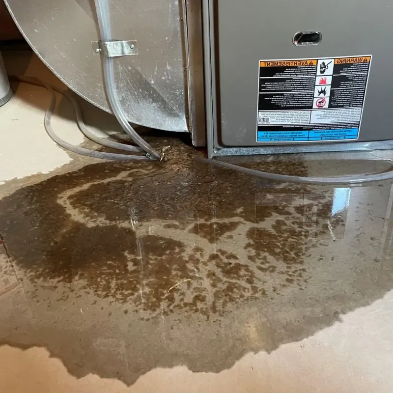 Pipe Burst and Leak Restoration in Greenpoint, NY